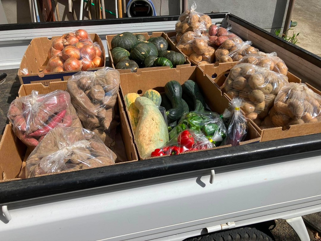 軽トラックの荷台に並べられた7つの段ボール箱。たまねぎ、かぼちゃ、じゃがいも、さつまいも、ズッキーニ、ピーマン、パプリカ、なすが袋詰めで入っている